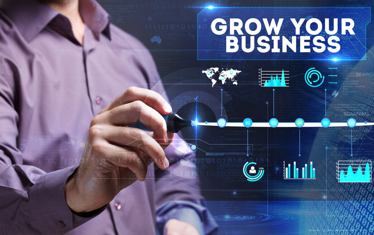 types of business growth